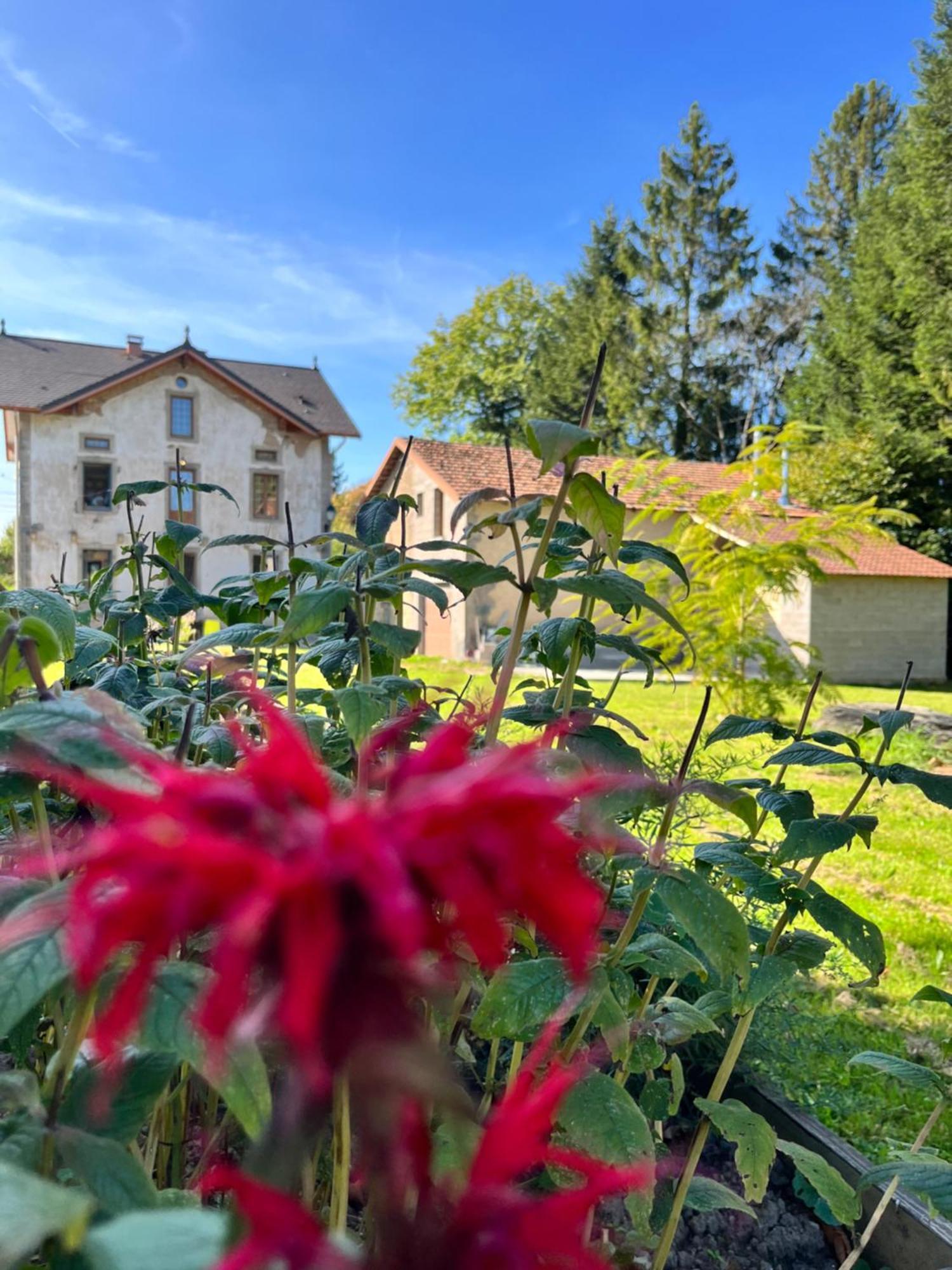 Chambre D'Hote Cosy Domaine Du Bagnerot La Chapelle-aux-Bois Exterior photo